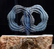 [01] 'Rubus' di Raffaello Galiotto